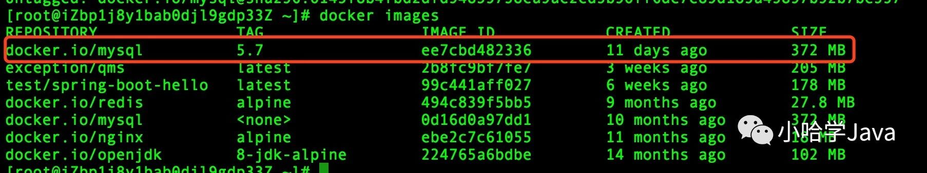 Docker-Image - 图15