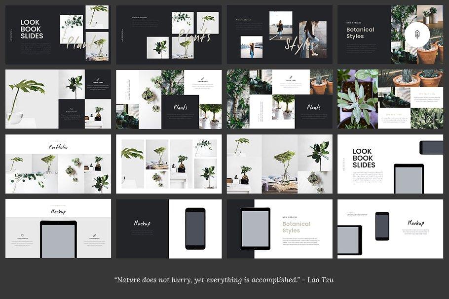 Lookbook风格植物主题Powerpoint模板 - 图8