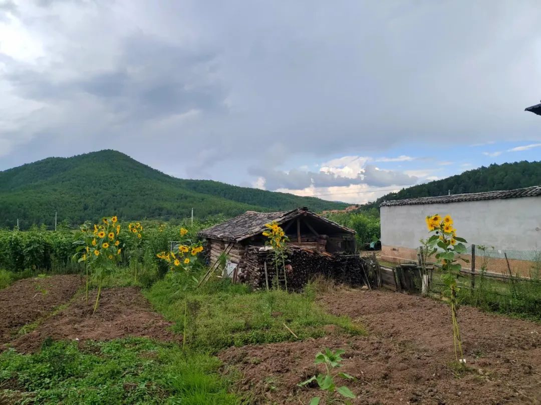 沙溪镇-石龙村 - 图10